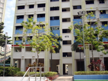 Block view of 673 Choa Chu Kang Crescent S(680673) http://static.streetsine.s3-website-ap-southeast-1.amazonaws.com/HDB Block Photos/680673/L/70522.jpg